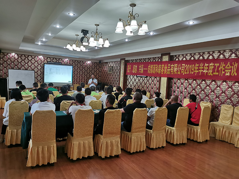 6月28日三顾助力常年顾问客户2019年半年度工作会议：提升、超越、共赢