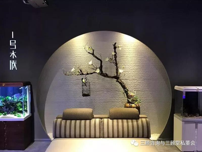 【三顾定位营销案例】定位：中国寓意水族创领者